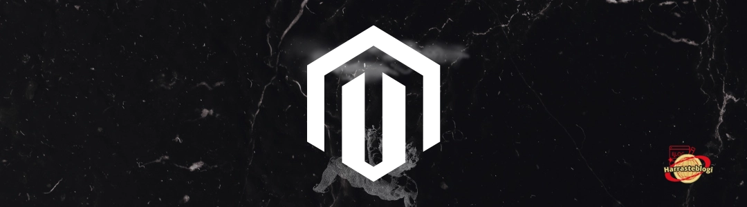 Magenton monikielisyys ja monivaluuttaisuus