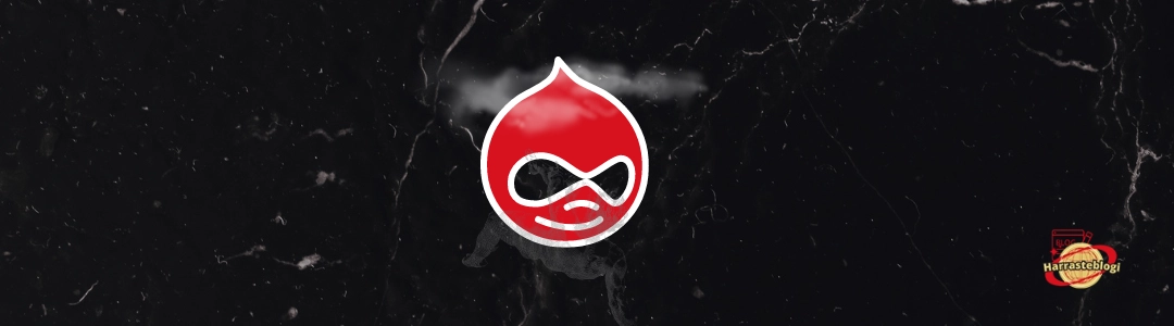 Drupalin seuranta ja optimointi