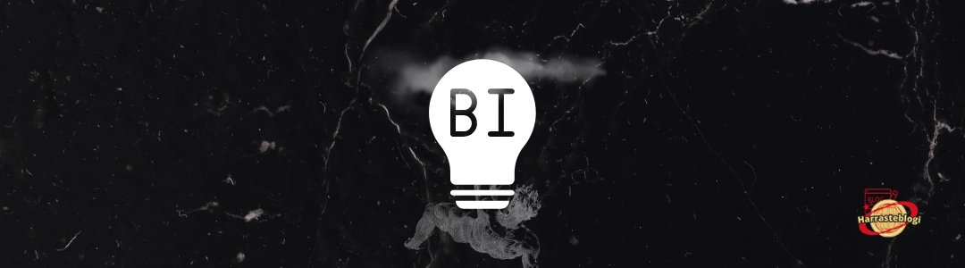 Business Intelligence (BI)