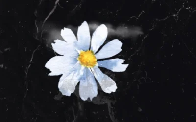 Juhannus: Perinteitä, Historiaa ja Nykyajan Juhlintaa