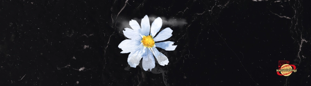 Juhannus: Perinteitä, Historiaa ja Nykyajan Juhlintaa