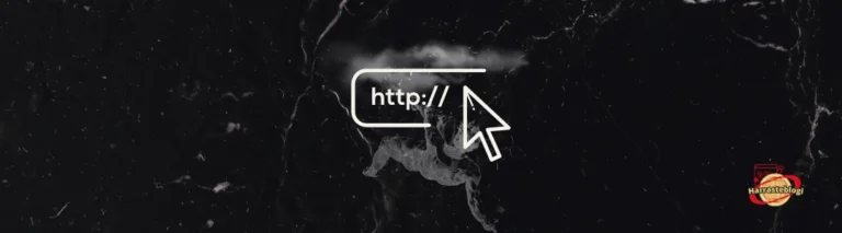Nettisivu (tai verkkosivu)